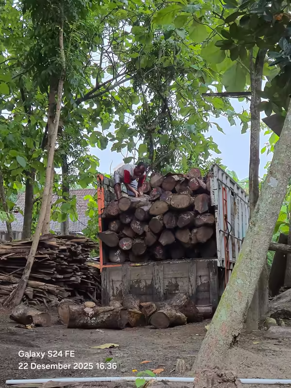 Rough sawn teak processing