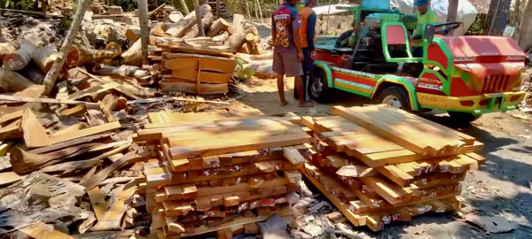 Raw log transport harvest